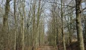 Trail Walking Voerendaal - Ubachsberg  - Photo 6