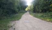 Randonnée Marche Maurepas - kasipadvil - Photo 8