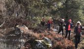 Tour Wandern Fontainebleau - Rocher Canon - Photo 1