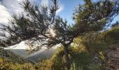 Randonnée Marche Saint-Guilhem-le-Désert - Boucle St Guilhem Baume de l'Olivier - Photo 5