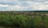 Excursión Senderismo Maaseik - Gruitroderbos -  dunes - Photo 15