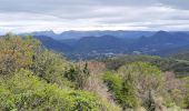 Trail Walking Roche-Saint-Secret-Béconne - Roche St Secret Le Mont Rachat 13Km - Photo 3