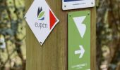 Trail Walking Eupen - 20250224 - Eupen 7.4 Km - Photo 3