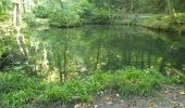 Randonnée Marche Seraing - Balade du Val à Yvoz en forêt  - Photo 8