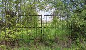 Trail Walking Theux - la reid . vert buisson . charmille / variante  - Photo 4