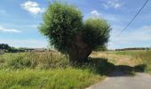 Tocht Stappen Banteux - canal de saint Quentin / Banteux - Vendhuile ( tunnel de Riqueval ). - Photo 1