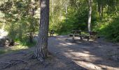 Trail Walking Réallon - reallon lac st appolinaire retour par GR - Photo 6