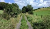 Tocht Stappen Pepinster - La promenade de Tribomont  - Photo 13