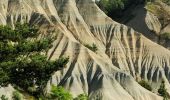 Tour Wandern Rosières - Ravin de corbeuf  - Photo 8