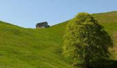 Tocht Te voet Zone - Malghe in Rete - Trekking - Le Creste Tappa 2 - Photo 4