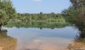 Tour Wandern Les Salles-sur-Verdon - 28-06-2023 Les Salles - Le Grand Défens - Bauduen  - Photo 1