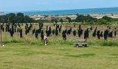 Trail Walking Asnelles - Asnelles sur mer-Ver sur mer (Calvados) - Photo 2