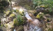 Trail Walking Saint-Pierre-de-Chartreuse - colle du cucheron , saint pierre en Chartreuse, boucle - Photo 1