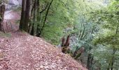 Trail Walking Ouhans - RANDONNEE A LA SOURCE DE LA LOUE - Photo 16