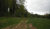Trail Walking Virton - Lamorteau  -  Balade_VTT_28kms - Photo 16