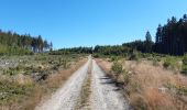 Tocht Stappen Sankt Vith - Rodt petite escapade en Ostbelgien - Photo 4