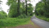 Trail Walking Rethondes - en forêt de Laigue_4_08_2019_Mont du Fouilleux_Mont des Singes_Marais de Francière - Photo 1