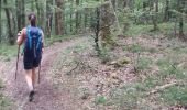 Trail Walking Bouillon - Rochehaut - Les Échelles  - Photo 3