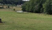 Trail Walking Bouillon - Curfoz- moulin de l'épine-Curfoz - Photo 4