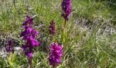 Tour Wandern Gresse-en-Vercors - Gresse en Vercors - Croix de Somme Longue - Photo 4