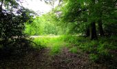 Randonnée Marche Coyolles - en forêt de Retz_78_les rayons du Rond Capitaine - Photo 9