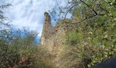 Tour Wandern Châteauneuf-Val-Saint-Donat - CHÂTEAU NEUF VAL SAINT DONAT . Vieux village , voie Romaine o l s o - Photo 3