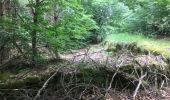 Trail Walking Hultehouse - 2020-06-11 Wasserwald et sentier des bornes - Photo 9