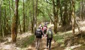 Trail Walking Maisod - Jura (lac de Vouglans 06-06-2019) - Photo 3
