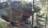 Tour Wandern Celles-sur-Plaine - Lajus Celles sur Plaine - Photo 4