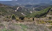 Percorso A piedi Vistabella del Maestrat - Antic Camí Real - Photo 9