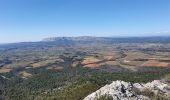 Excursión Senderismo Trets - Mont Olympe et rocher de onze heures - Photo 5