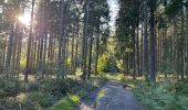 Trail Walking Libramont-Chevigny - Libramont Bois de Bernihé parcours BD - Photo 3