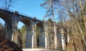 Excursión Senderismo Darney - Darney : Vers le pont Tatal  - Photo 5