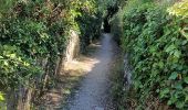 Randonnée Marche Varenna - Sentiero del Viandante Varenna à Bellona - Photo 7