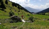 Randonnée Marche La Plagne-Tarentaise - Les Fours- belle rando facile - Photo 11