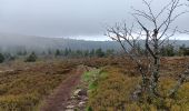 Randonnée Marche Véranne - sentier des crets du Mont Pilat  - Photo 15