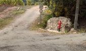 Excursión Senderismo Les Arcs-sur-Argens - font du loup vers taradeau les arcs - Photo 16