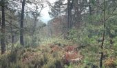 Tocht Stappen Fontainebleau - Départ. Croix Toulouse  cassepot  - Photo 5