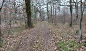 Tour Wandern Mézières-lez-Cléry - mezieres fevrier 2023 - Photo 3