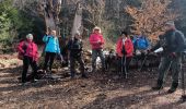 Trail Walking Plan-d'Aups-Sainte-Baume - sentiers merveilleux - Photo 14