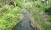 Percorso A piedi Querença, Tôr e Benafim - Fonte Benémola - Photo 3