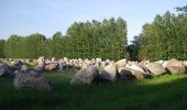 Tour Zu Fuß Drebkau - Altbergbau Görigk - Photo 4