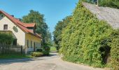 Tour Zu Fuß Stadlern - Bayern-Böhmen-Runde 1 - Photo 8