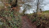 Trail Walking Namur - Gelbressee 311221 - Photo 5