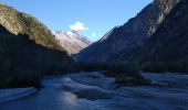 Randonnée Marche Les Deux Alpes - BOUCLE DU VENEON - Photo 10