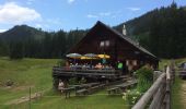 Tour Zu Fuß Gosau - Gosau-Kalmberg - Photo 7