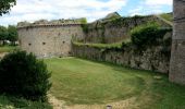 Trail Walking Dinan - Dinan - 7.5km 120m 3h15 - 2017 06 25 - Photo 16