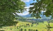 Percorso Marcia Waldkirch - ARCA WALDKIRCH - Photo 1