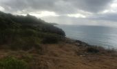 Trail Nordic walking Sainte-Anne - Fond grand ma  modette le littoral  - Photo 20