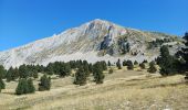 Tour Wandern Saint-Agnan-en-Vercors - grand veymont par pre rateau - Photo 1